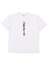 078→THE WORLD TEE