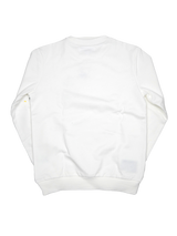 DGペイントトレーナー