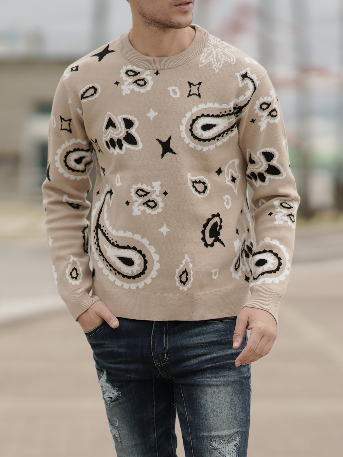 ペイズリーニット【SALE】 – DayGLORY